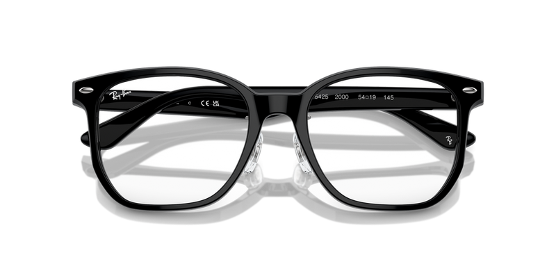Ray-Ban RX5425D in Black - Side View