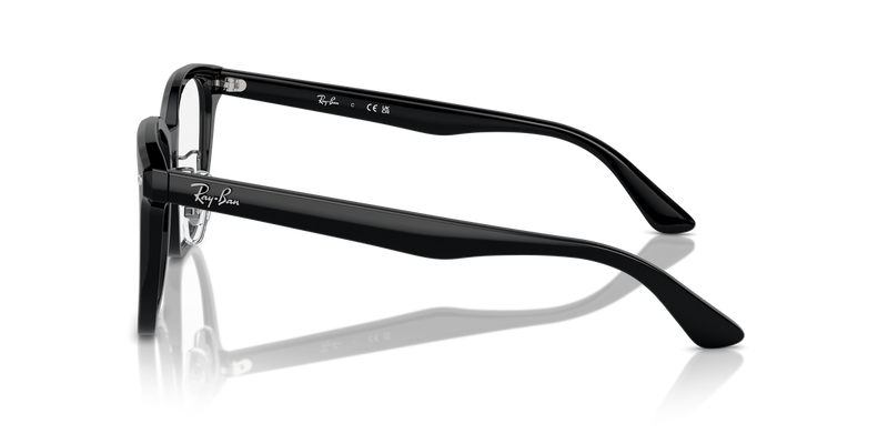 Ray-Ban RX5425D in Black - Back View