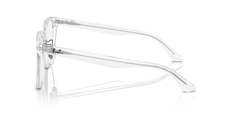 Ray-Ban RX5425D in Transparent - Alternate View