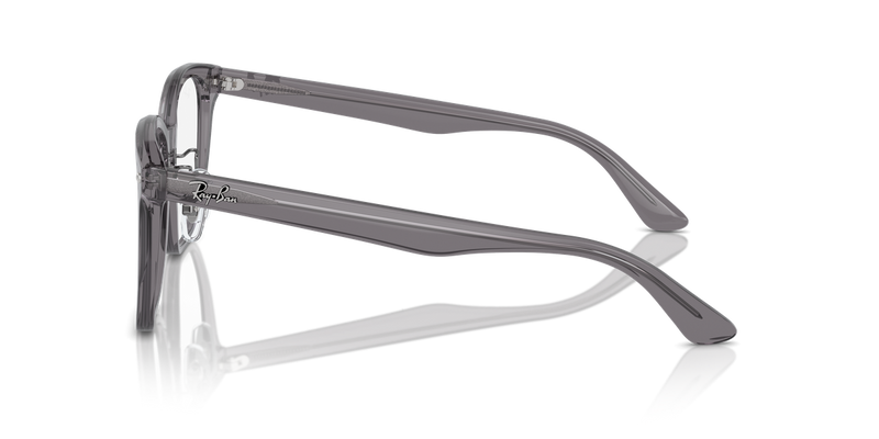 Ray-Ban RX5425D in Transparent Grey - Alternate View