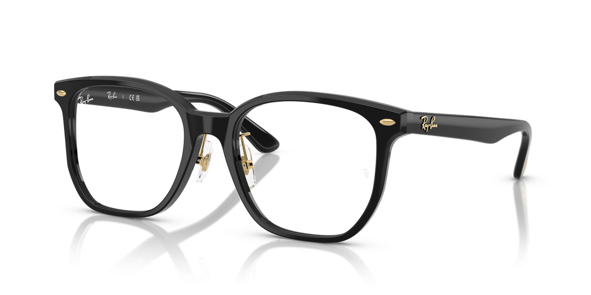 Ray-Ban RX5425D