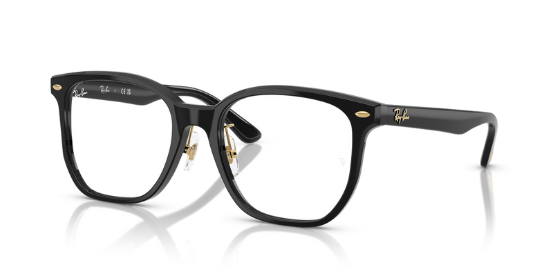 Ray-Ban RX5425D in Black - Alternate View