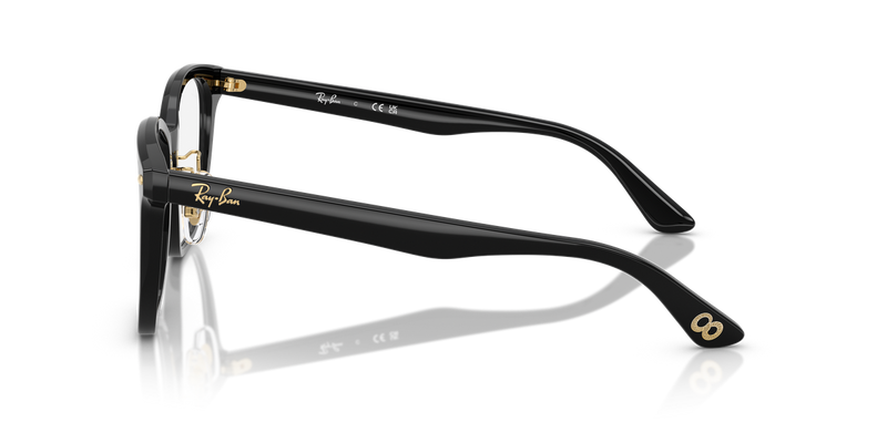 Ray-Ban RX5425D in Black - Alternate View