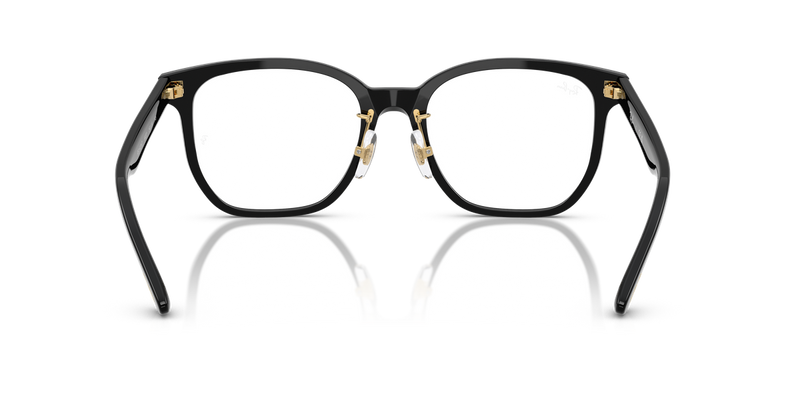 Ray-Ban RX5425D in Black - Alternate View