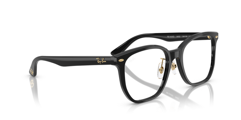 Ray-Ban RX5425D in Black - Alternate View