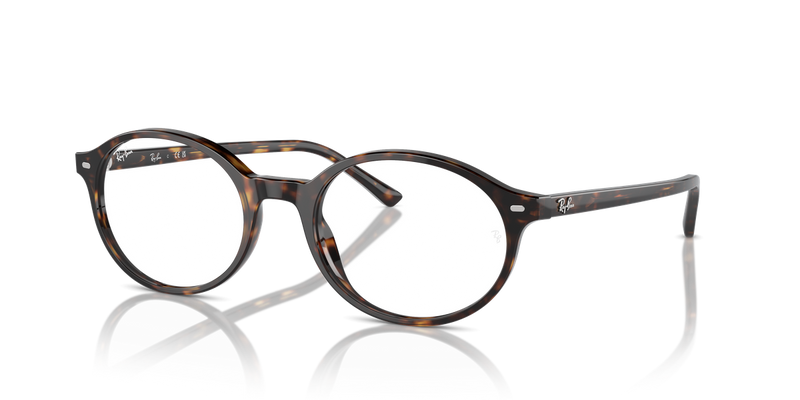 Ray-Ban GERMAN in Havana / Clear (2012) - Alternate View
