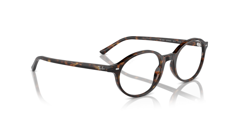 Ray-Ban GERMAN in Havana / Clear (2012) - Alternate View