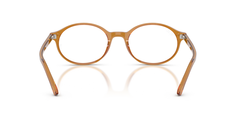 Ray-Ban GERMAN in Beige / Clear (8439) - Alternate View