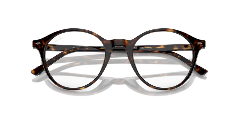 Ray-Ban BERNARD in Havana / Clear (2012) - Alternate View