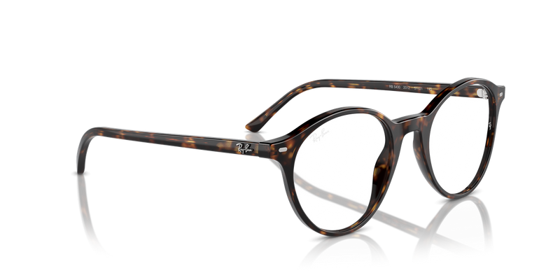 Ray-Ban BERNARD in Havana / Clear (2012) - Alternate View