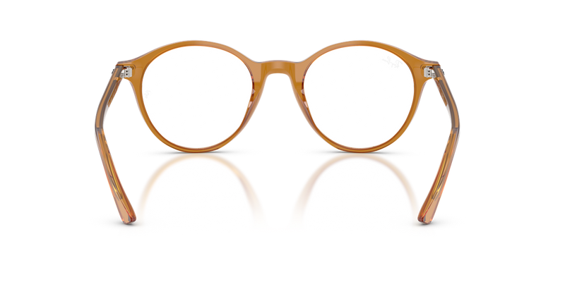 Ray-Ban BERNARD in Beige / Clear (8439) - Alternate View