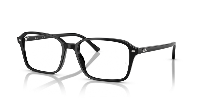 Ray-Ban RAIMOND in Black / Clear (2000) - Alternate View