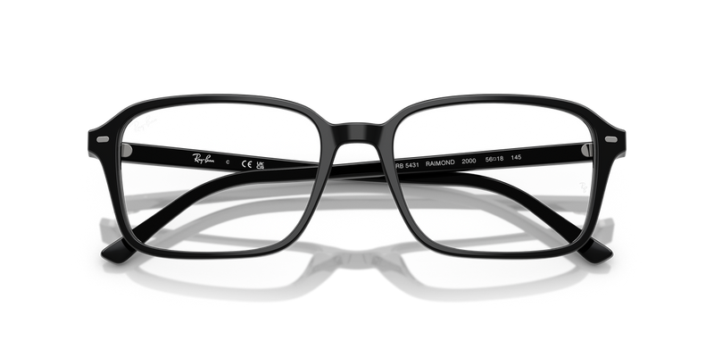 Ray-Ban RAIMOND in Black / Clear (2000) - Alternate View