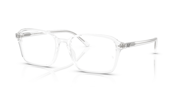 Ray-Ban RAIMOND