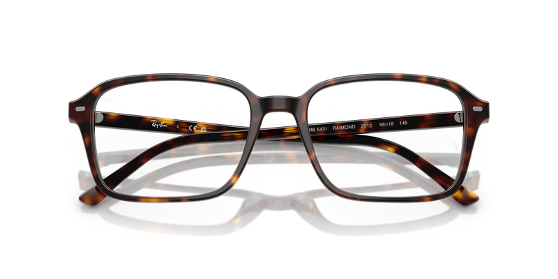 Ray-Ban RAIMOND in Havana / Clear (2012) - Alternate View