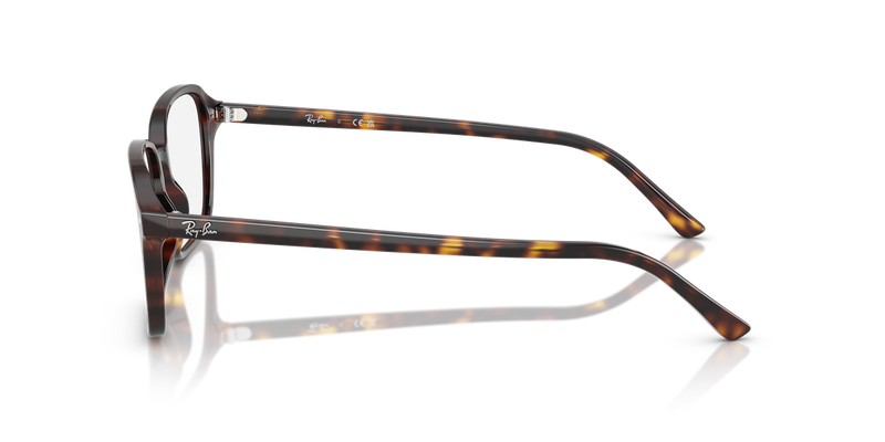 Ray-Ban RAIMOND in Havana / Clear (2012) - Alternate View