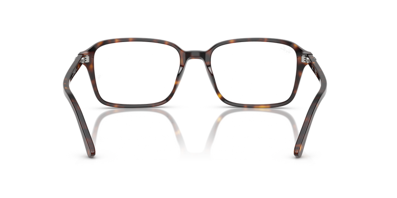 Ray-Ban RAIMOND in Havana / Clear (2012) - Alternate View
