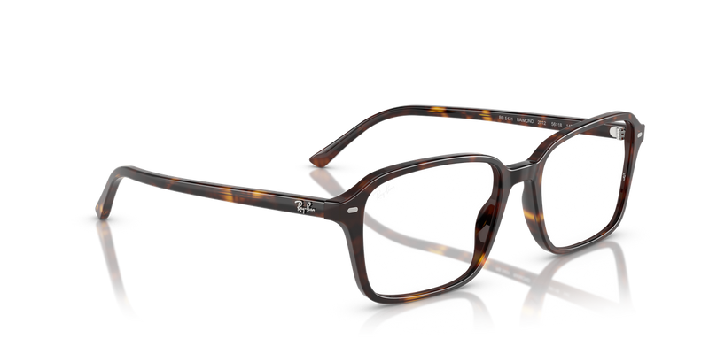 Ray-Ban RAIMOND in Havana / Clear (2012) - Alternate View