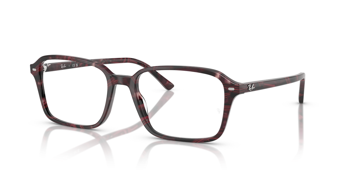 Ray-Ban RAIMOND