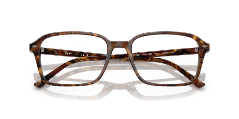 Ray-Ban RAIMOND in Transparent Fantasy Brown & Yellow / Clear (8395) - Alternate View