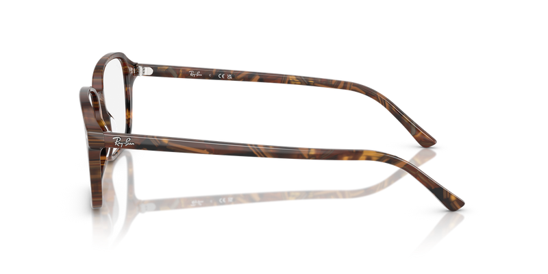 Ray-Ban RAIMOND in Transparent Fantasy Brown & Yellow / Clear (8395) - Alternate View