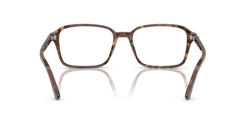 Ray-Ban RAIMOND in Transparent Fantasy Brown & Yellow / Clear (8395) - Alternate View