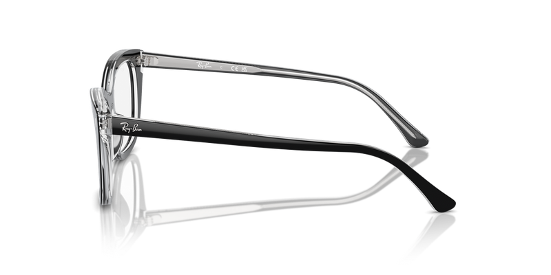 Ray-Ban RX5433 in Black On Transparent - Back View