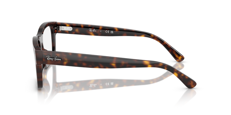 Ray-Ban RX5435F in Havana - Back View