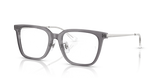 Transparent Grey / Clear (8268)