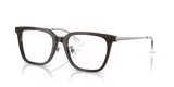 Transparent Dark Brown / Clear (8290)