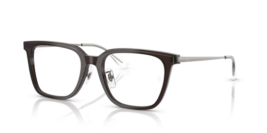 Ray-Ban RX5442D - Transparent Dark Brown / Clear (8290)
