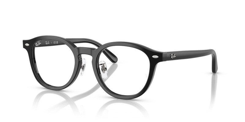 Ray-Ban RX5443D in Black - Alternate View