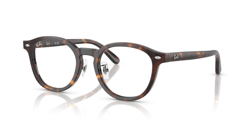 Ray-Ban RX5443D in Havana - Alternate View