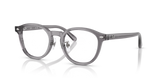 Transparent Grey / Clear (8268)