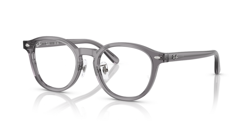 Ray-Ban RX5443D in Transparent Grey - Alternate View