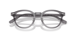 Transparent Grey / Clear (8268)