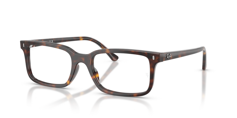 Ray-Ban RX5445 in Havana / Clear (2012) - Alternate View