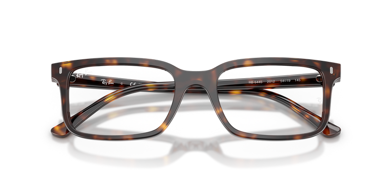 Ray-Ban RX5445 in Havana / Clear (2012) - Alternate View