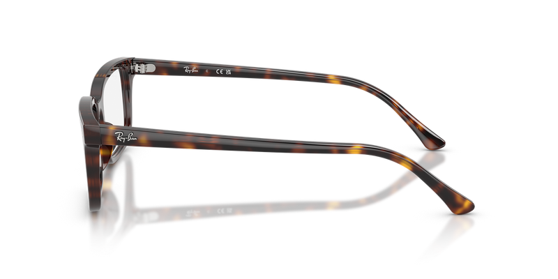 Ray-Ban RX5445 in Havana / Clear (2012) - Alternate View