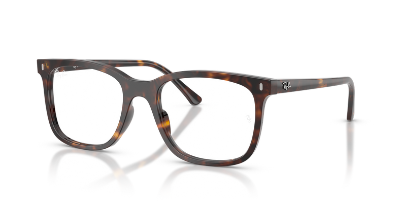Ray-Ban RX5446F in Havana / Clear (2012) - Alternate View