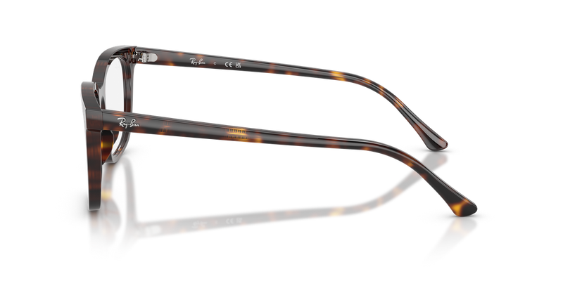 Ray-Ban RX5446F in Havana / Clear (2012) - Alternate View
