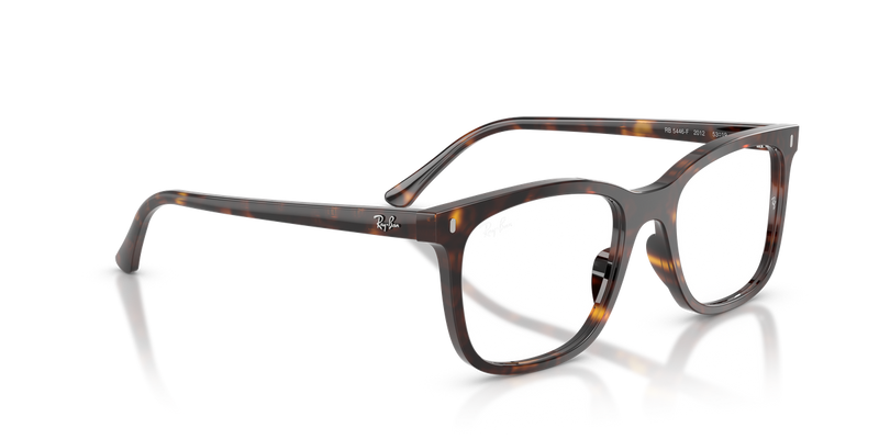 Ray-Ban RX5446F in Havana / Clear (2012) - Alternate View