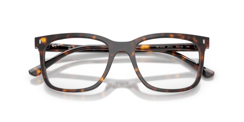 Ray-Ban RX5446 in Havana / Clear (2012) - Alternate View