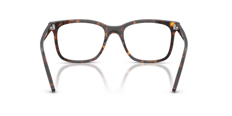 Ray-Ban RX5446 in Havana / Clear (2012) - Alternate View
