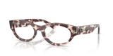 Havana Grey / Clear (8461)