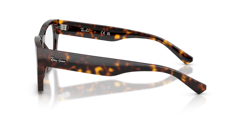 Ray-Ban RX5448 in Havana / Clear (2012) - Alternate View
