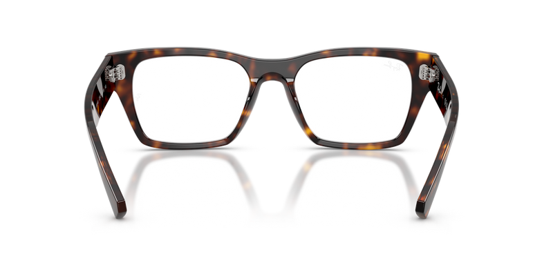 Ray-Ban RX5448 in Havana / Clear (2012) - Alternate View