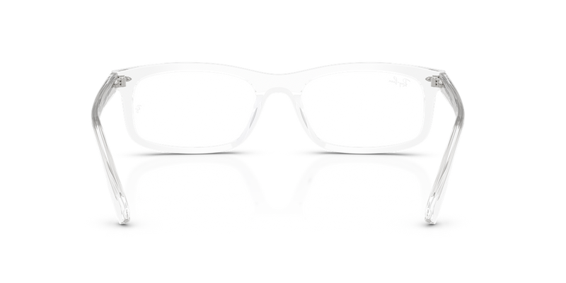 Ray-Ban RX5450 in Transparent / Clear (2001) - Alternate View