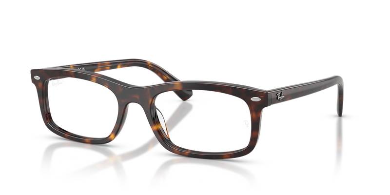 Ray-Ban RX5450 in Havana / Clear (2012) - Alternate View