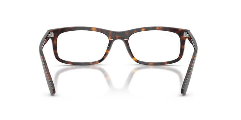 Ray-Ban RX5450 in Havana / Clear (2012) - Alternate View